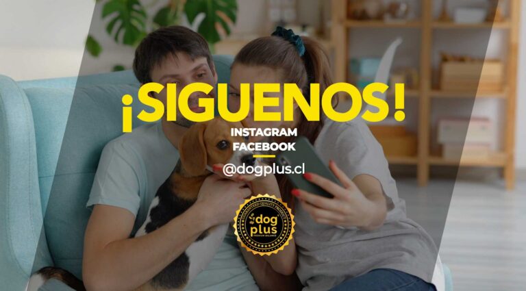 CD comunicación y diseño, DogPlus y RRSS